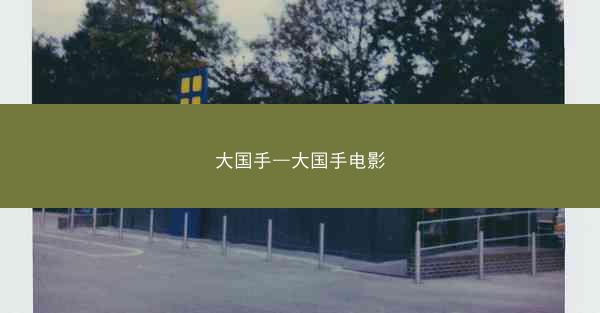 大国手—大国手电影