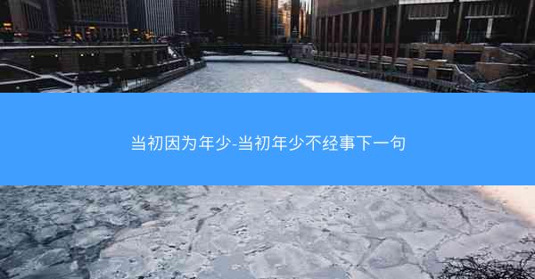 当初因为年少-当初年少不经事下一句