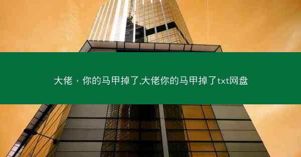 大佬，你的马甲掉了,大佬你的马甲掉了txt网盘