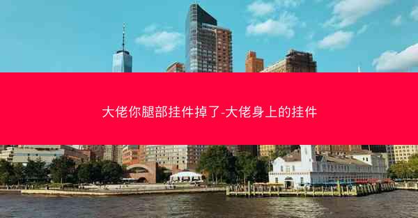 大佬你腿部挂件掉了-大佬身上的挂件