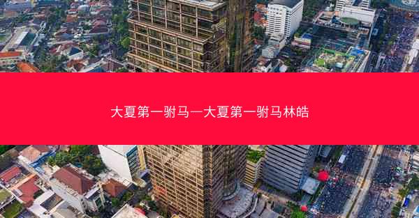 大夏第一驸马—大夏第一驸马林皓