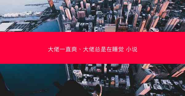 大佬一直爽、大佬总是在睡觉 小说