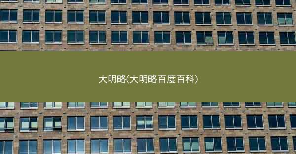 大明略(大明略百度百科)