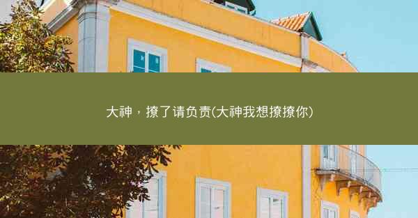 大神，撩了请负责(大神我想撩撩你)