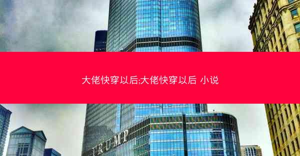 大佬快穿以后;大佬快穿以后 小说