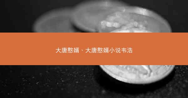 大唐憨婿、大唐憨婿小说韦浩