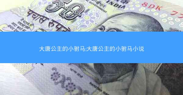 大唐公主的小驸马;大唐公主的小驸马小说