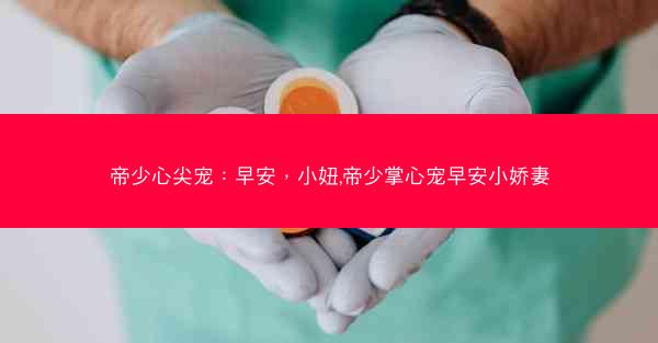 帝少心尖宠：早安，小妞,帝少掌心宠早安小娇妻
