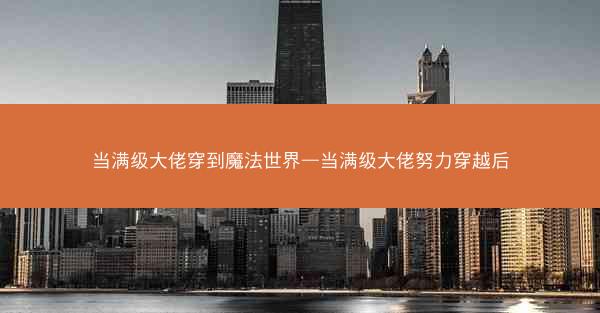 当满级大佬穿到魔法世界—当满级大佬努力穿越后