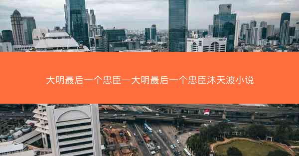 大明最后一个忠臣—大明最后一个忠臣沐天波小说