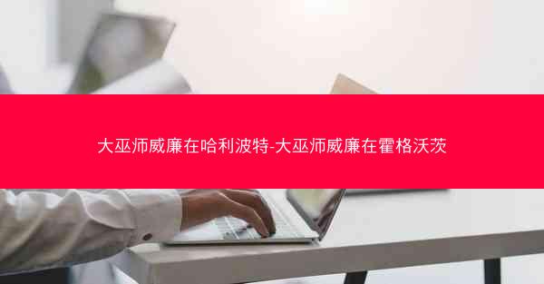 大巫师威廉在哈利波特-大巫师威廉在霍格沃茨
