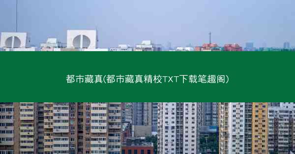 都市藏真(都市藏真精校TXT下载笔趣阁)