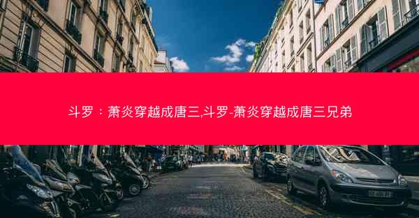 斗罗：萧炎穿越成唐三,斗罗-萧炎穿越成唐三兄弟