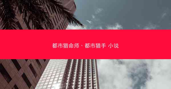 都市猎命师、都市猎手 小说