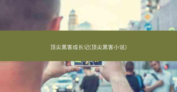 顶尖黑客成长记(顶尖黑客小说)