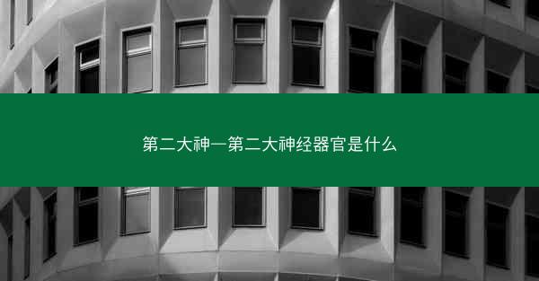第二大神—第二大神经器官是什么