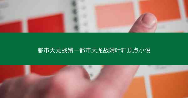 都市天龙战婿—都市天龙战婿叶轩顶点小说