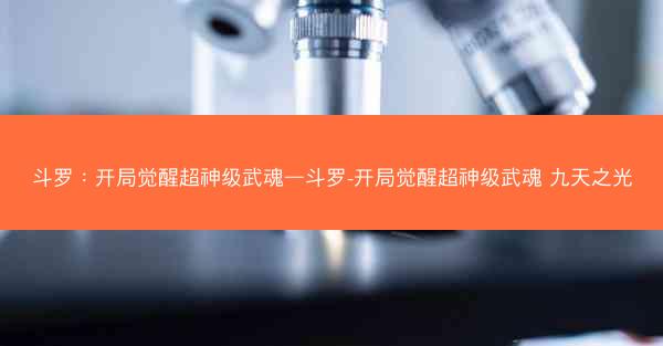 斗罗：开局觉醒超神级武魂—斗罗-开局觉醒超神级武魂 九天之光