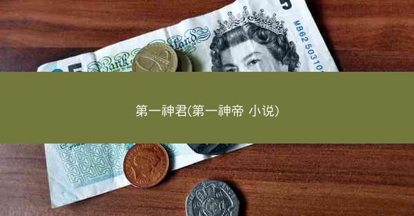 第一神君(第一神帝 小说)