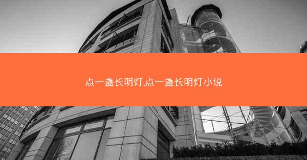 点一盏长明灯,点一盏长明灯小说