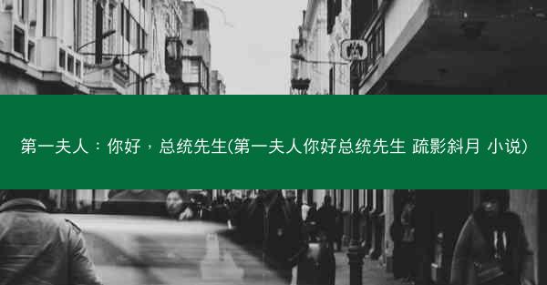 第一夫人：你好，总统先生(第一夫人你好总统先生 疏影斜月 小说)
