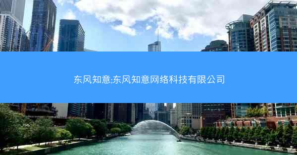 东风知意;东风知意网络科技有限公司
