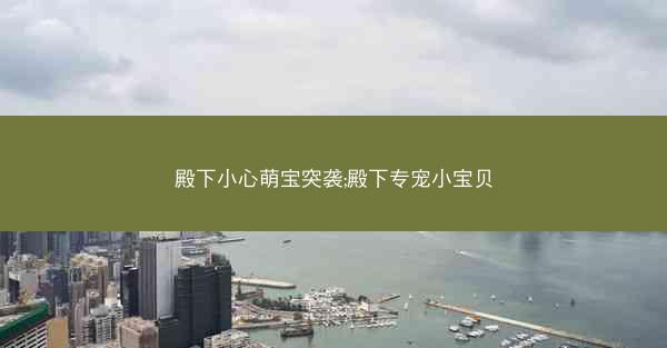 殿下小心萌宝突袭;殿下专宠小宝贝