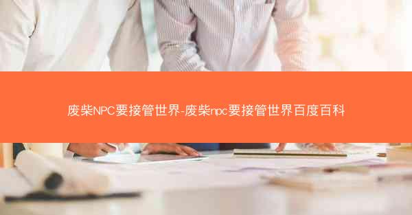 废柴NPC要接管世界-废柴npc要接管世界百度百科