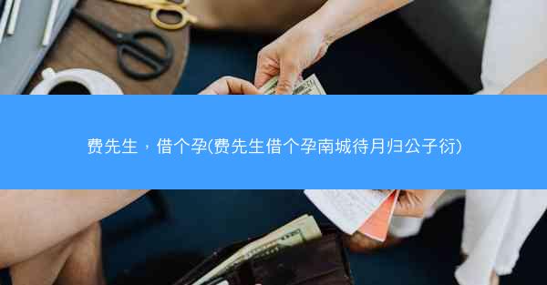 费先生，借个孕(费先生借个孕南城待月归公子衍)