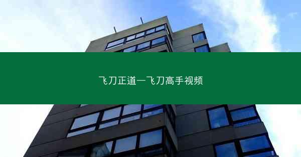 飞刀正道—飞刀高手视频