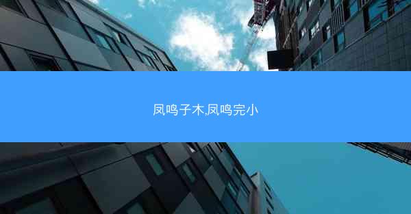 凤鸣子木,凤鸣完小