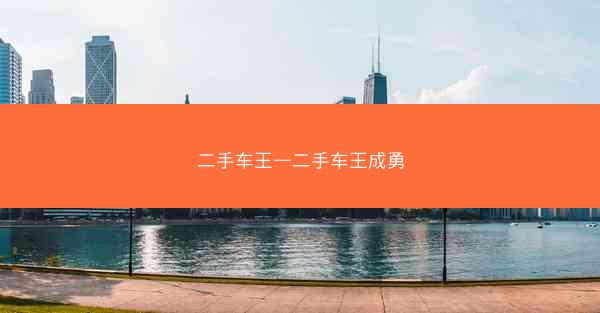二手车王—二手车王成勇