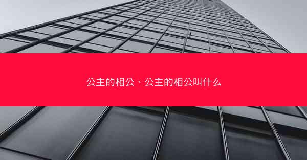 公主的相公、公主的相公叫什么