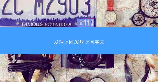 发球上网,发球上网英文