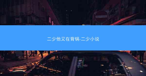 二少他又在背锅-二少小说