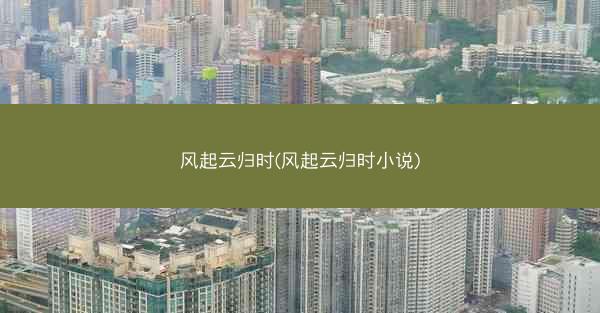 风起云归时(风起云归时小说)