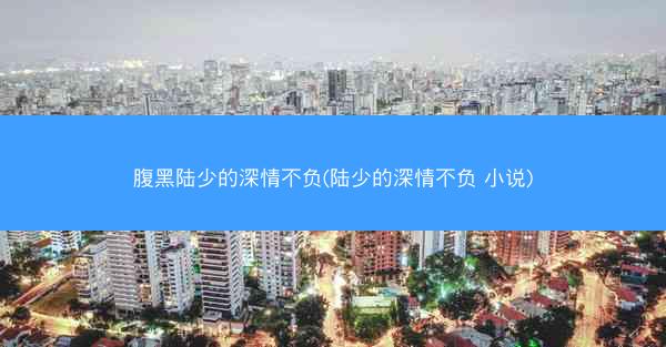 腹黑陆少的深情不负(陆少的深情不负 小说)
