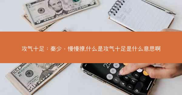 攻气十足：秦少，慢慢撩,什么是攻气十足是什么意思啊