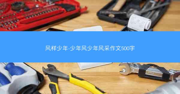 风样少年-少年风少年风采作文500字 风样少年-少年风少年风采作文500字