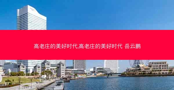 高老庄的美好时代,高老庄的美好时代 岳云鹏