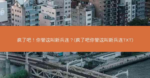疯了吧！你管这叫新兵连？(疯了吧你管这叫新兵连TXT)