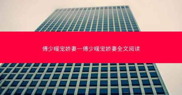 傅少暖宠娇妻—傅少暖宠娇妻全文阅读