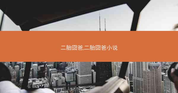 二胎囧爸,二胎囧爸小说