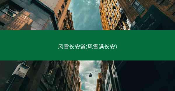 风雪长安道(风雪满长安)