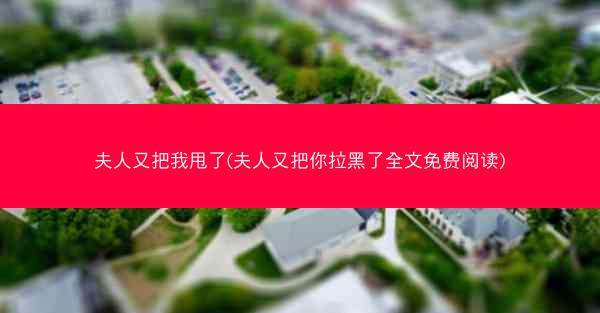 夫人又把我甩了(夫人又把你拉黑了全文免费阅读)