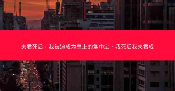 夫君死后，我被迫成为皇上的掌中宝、我死后我夫君成