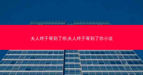 夫人终于等到了你;夫人终于等到了你小说