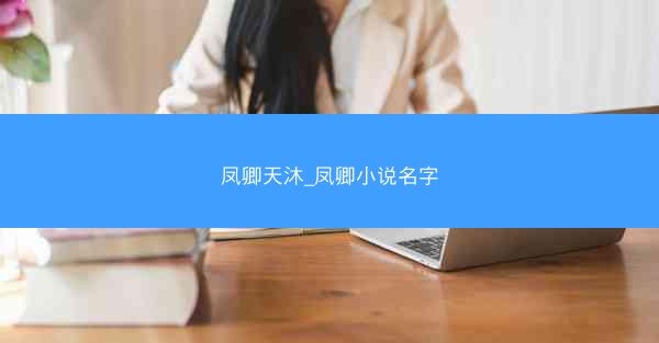 凤卿天沐_凤卿小说名字