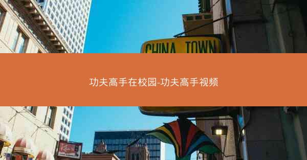 功夫高手在校园-功夫高手视频