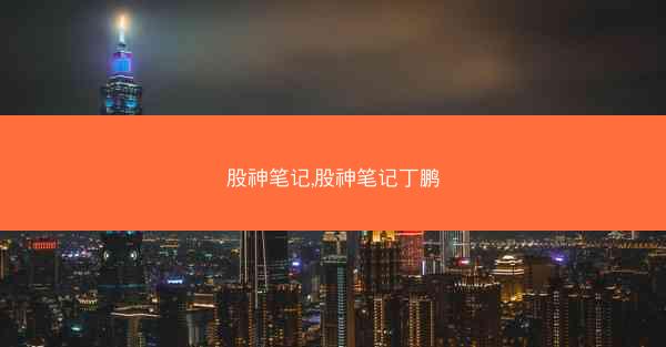 股神笔记,股神笔记丁鹏